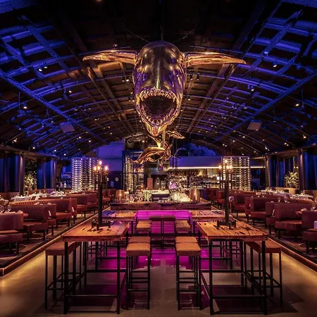 Modern With A View Of The Scheveningen Harbor 公寓 海牙